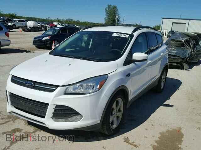 2013 FORD ESCAPE - VIN: 1FMCU0G99DUA73660 - Фото 2