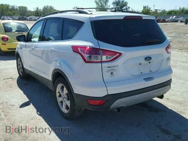 2013 FORD ESCAPE - VIN: 1FMCU0G99DUA73660 - Фото 3