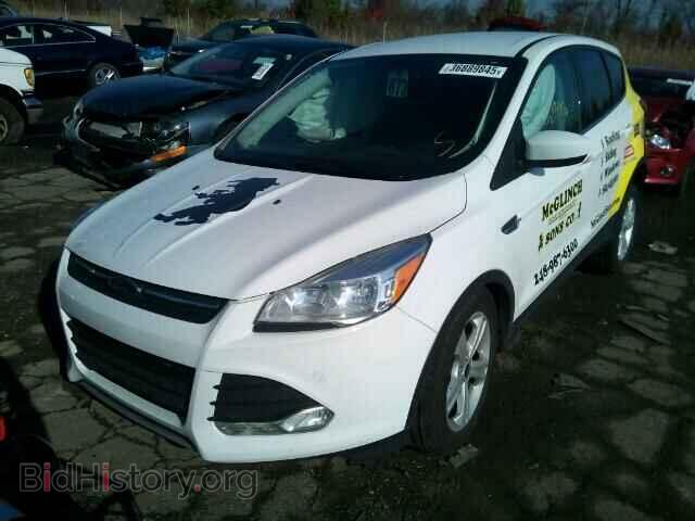 2014 FORD ESCAPE - VIN: 1FMCU0GX7EUC58595 - Фото 2