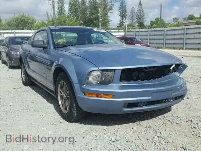 Photo 1ZVFT80NX55172037 - FORD MUSTANG 2005