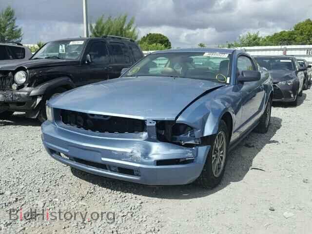 2005 FORD MUSTANG - VIN: 1ZVFT80NX55172037 - Фото 2