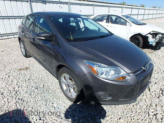 Photo 1FADP3K20DL301942 - FORD FOCUS 2013