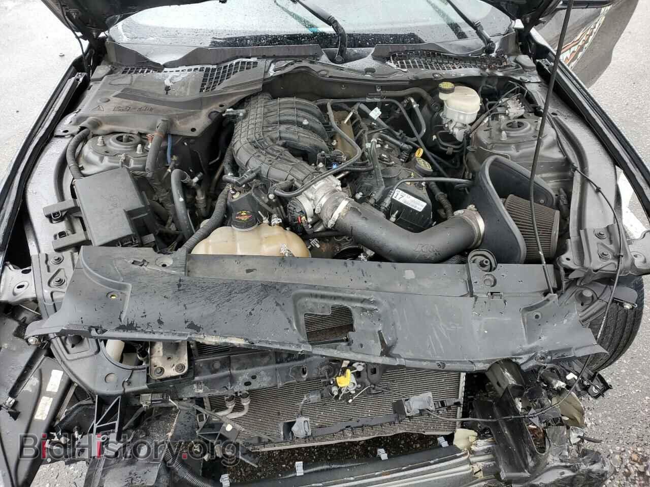 2017 FORD ALL Models - VIN: 1FA6P8AM4H5259682 - Фото 11