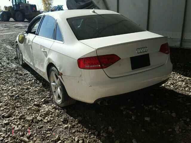 2010 AUDI A4 - VIN: WAUFFCFL2AN018819 - Фото 3
