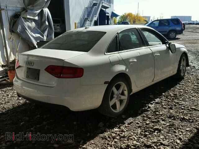 2010 AUDI A4 - VIN: WAUFFCFL2AN018819 - Фото 4