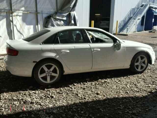 2010 AUDI A4 - VIN: WAUFFCFL2AN018819 - Фото 9