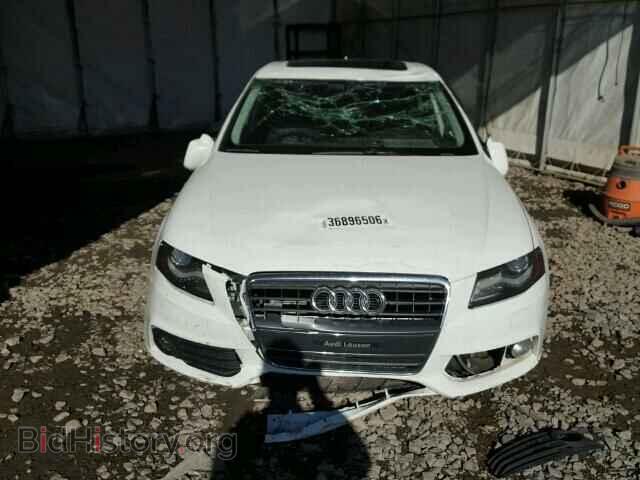 2010 AUDI A4 - VIN: WAUFFCFL2AN018819 - Фото 10