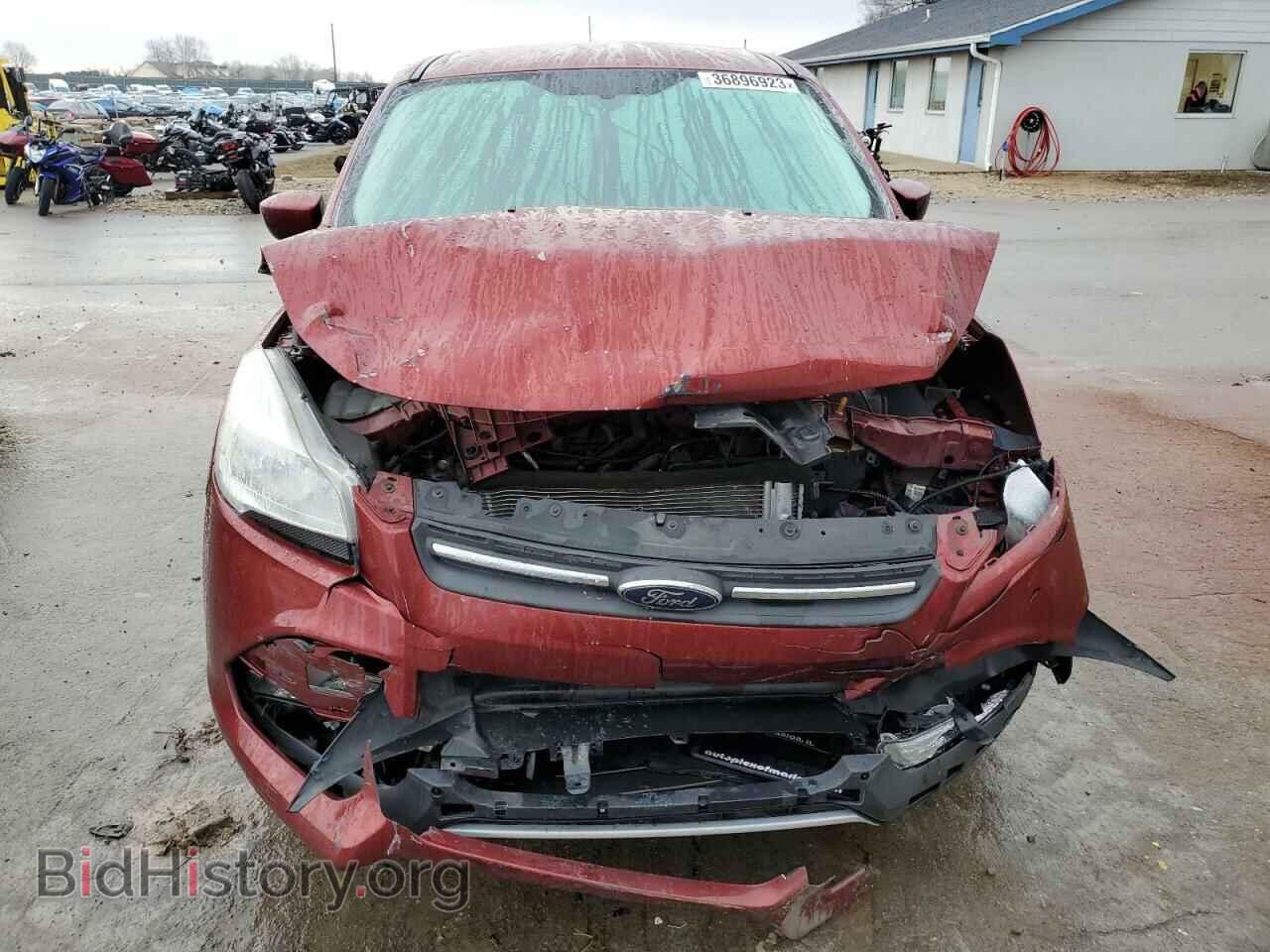 2014 FORD ESCAPE - VIN: 1FMCU0GX2EUC09529 - Фото 5