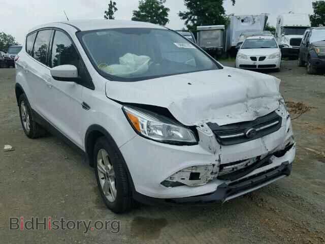 Фотография 1FMCU0GX9DUC58838 - FORD ESCAPE 2013
