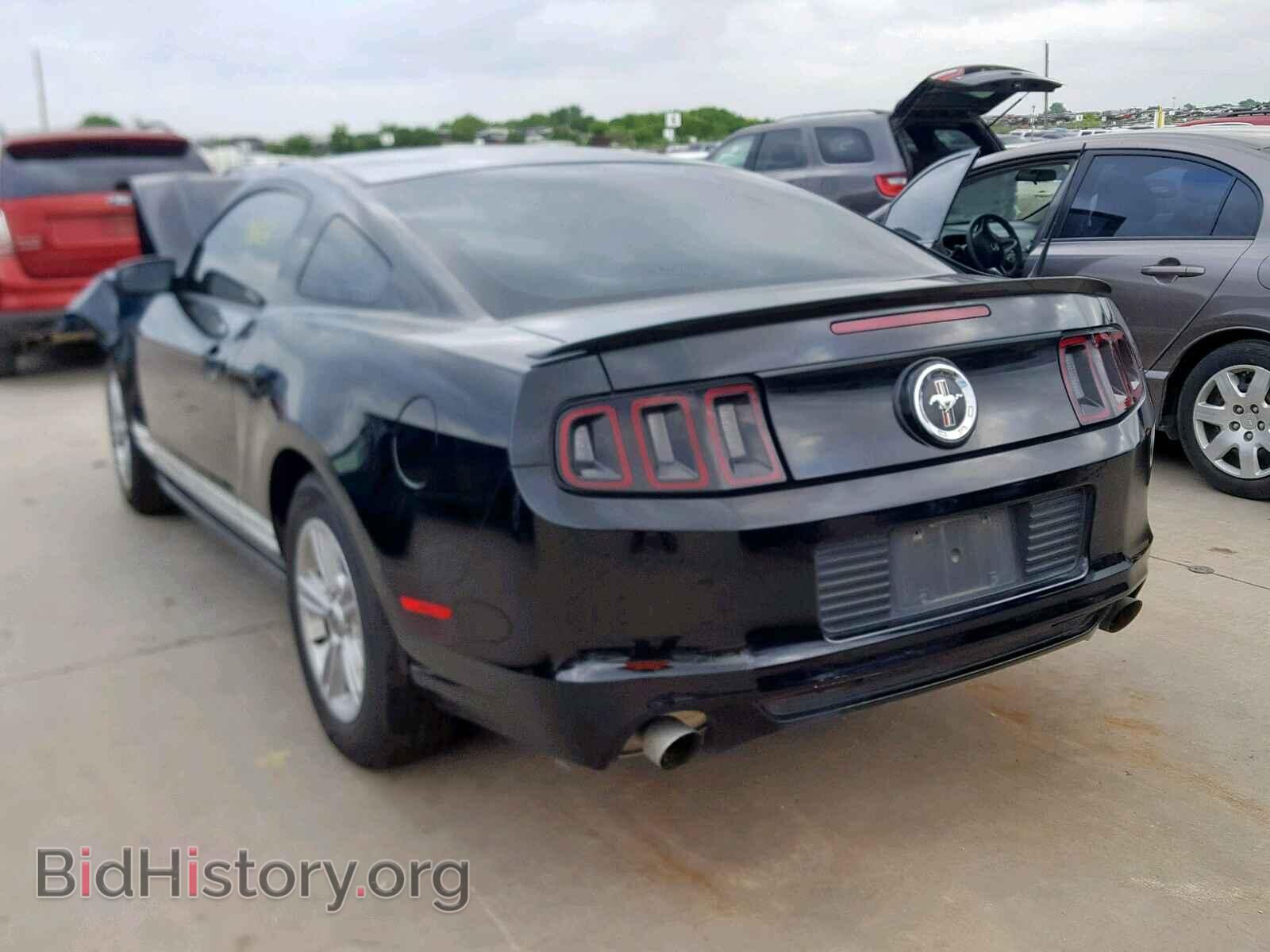 2013 FORD MUSTANG - VIN: 1ZVBP8AM2D5252648 - Фото 3