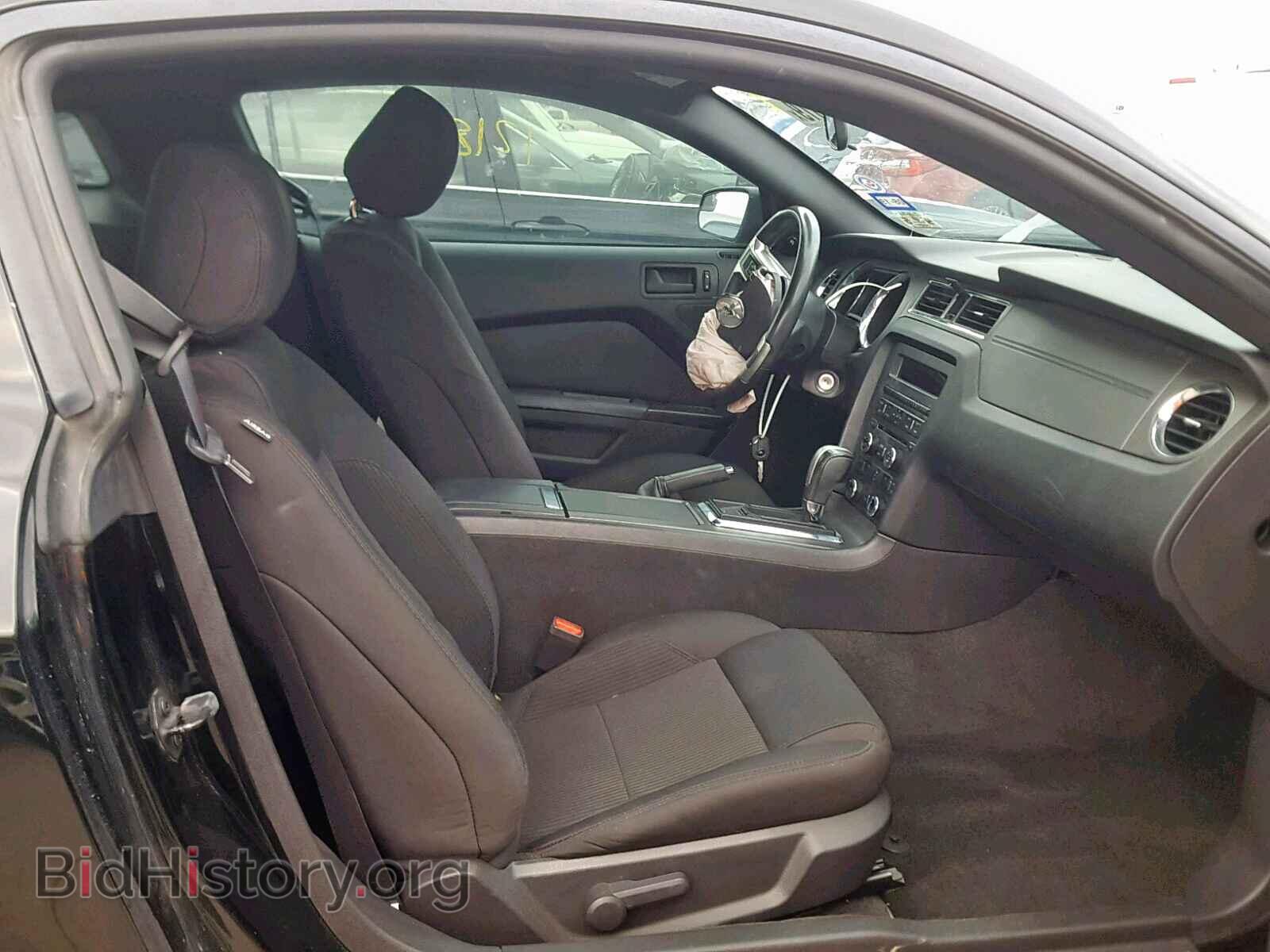 2013 FORD MUSTANG - VIN: 1ZVBP8AM2D5252648 - Фото 5