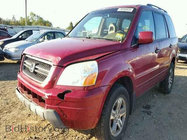 2005 HONDA PILOT - VIN: 5FNYF18645B065474 - Фото 2