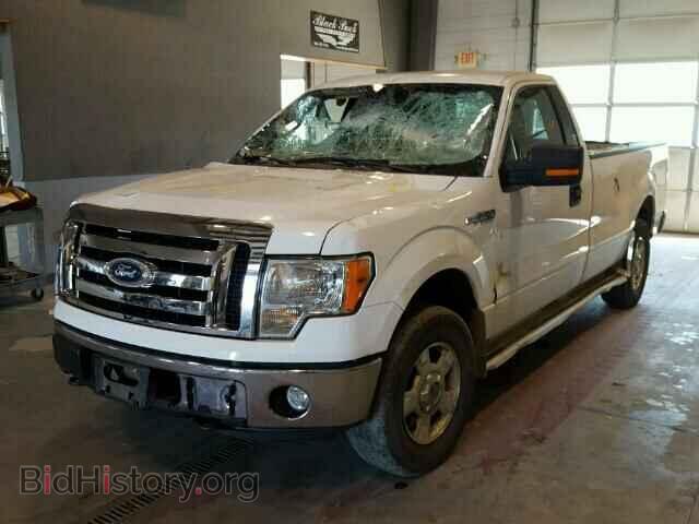 2011 FORD F150 - VIN: 1FTMF1EM8BKD18411 - Фото 2