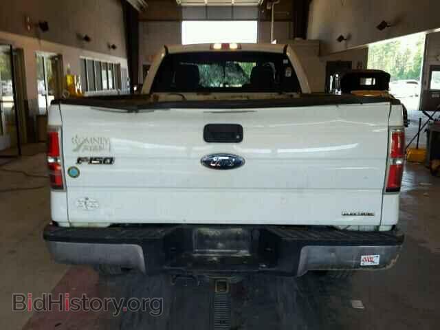 2011 FORD F150 - VIN: 1FTMF1EM8BKD18411 - Фото 6