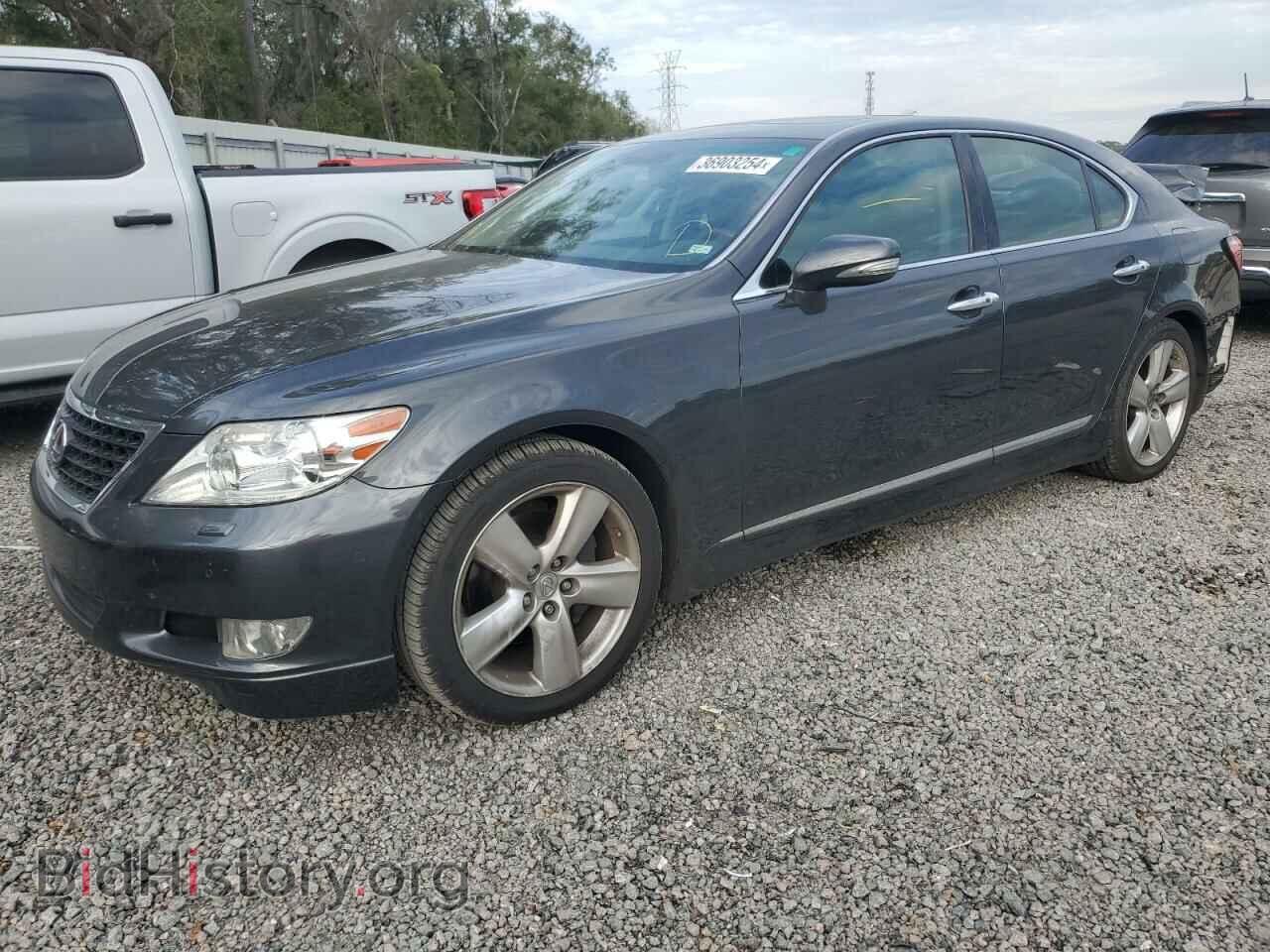Фотография JTHBL5EF6A5098528 - LEXUS LS460 2010