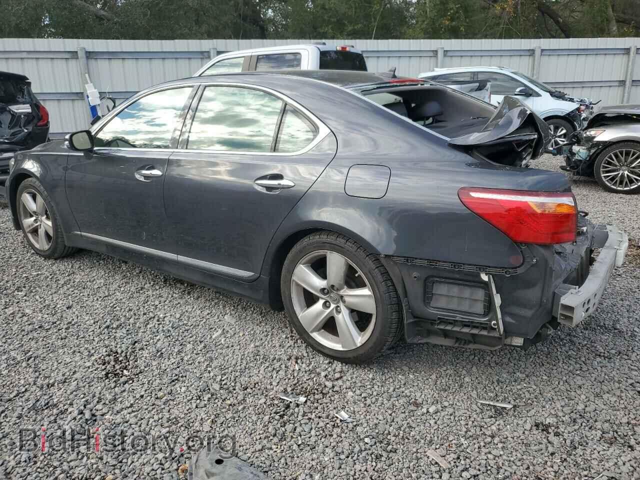2010 LEXUS LS460 - VIN: JTHBL5EF6A5098528 - Фото 2