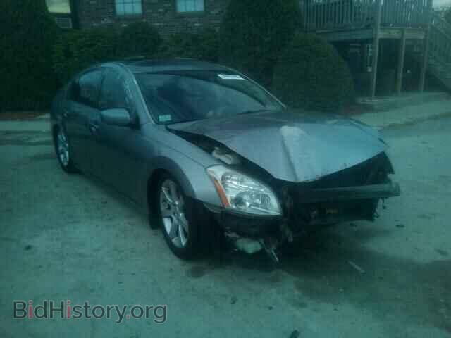 Photo 1N4BA41E18C811149 - NISSAN MAXIMA 2008