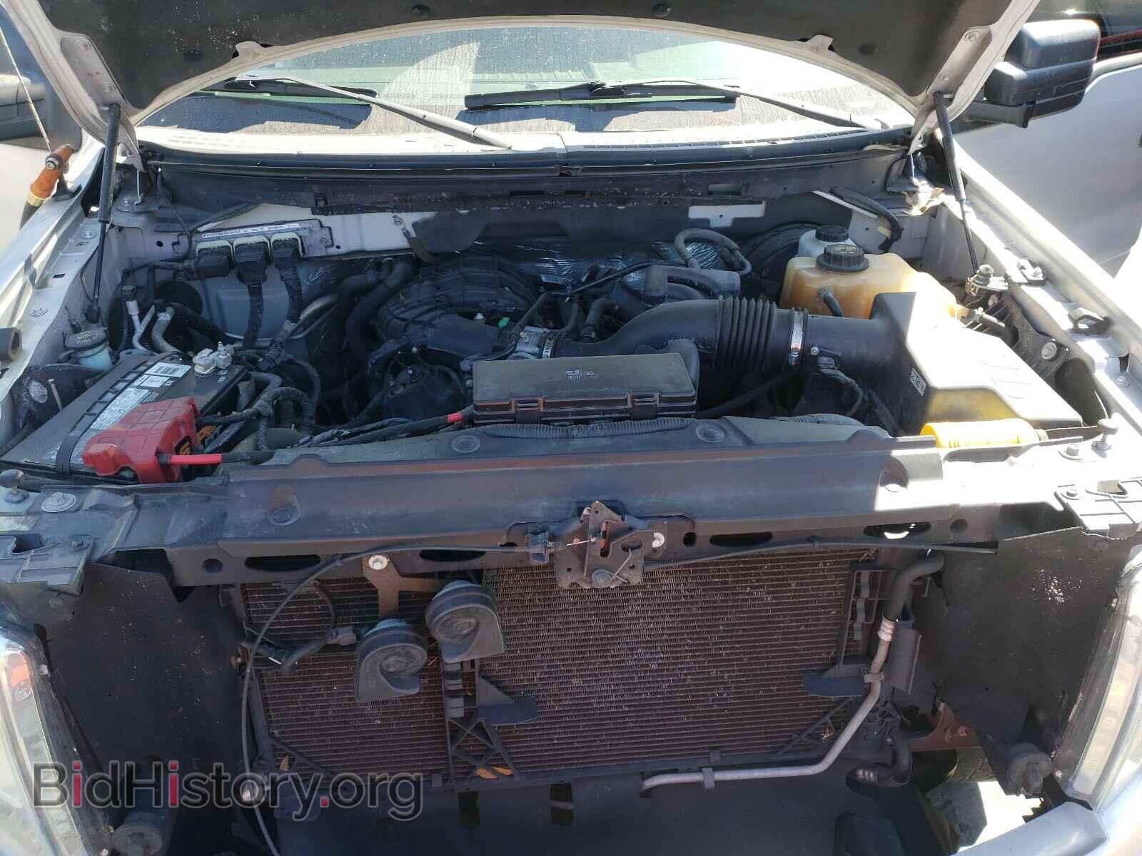 2013 FORD F150 - VIN: 1FTEW1CM8DFB45959 - Фото 7