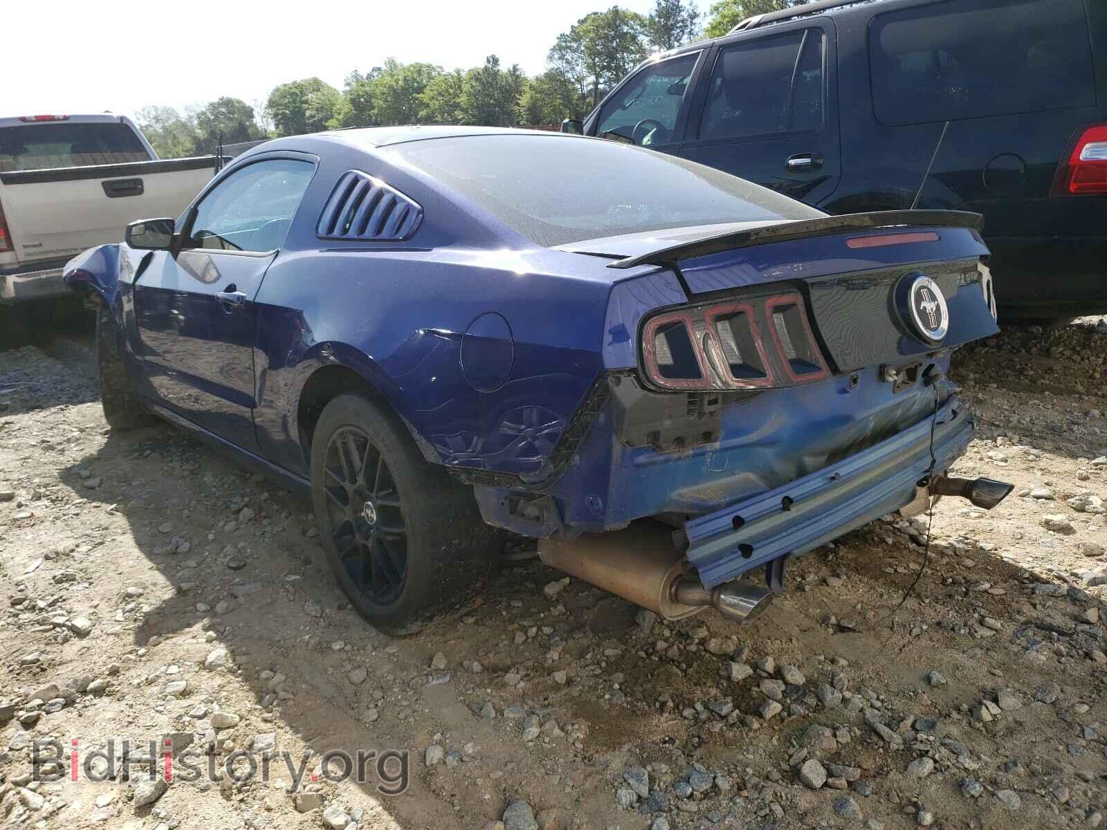 2014 FORD MUSTANG - VIN: 1ZVBP8AM7E5318578 - Фото 3
