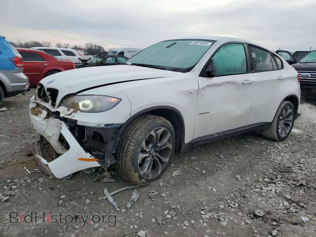 Photo 5UXFG2C58E0H09874 - BMW X6 2014