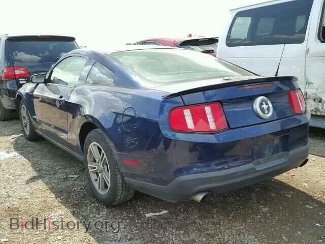 2011 FORD MUSTANG - VIN: 1ZVBP8AM9B5153239 - Фото 3