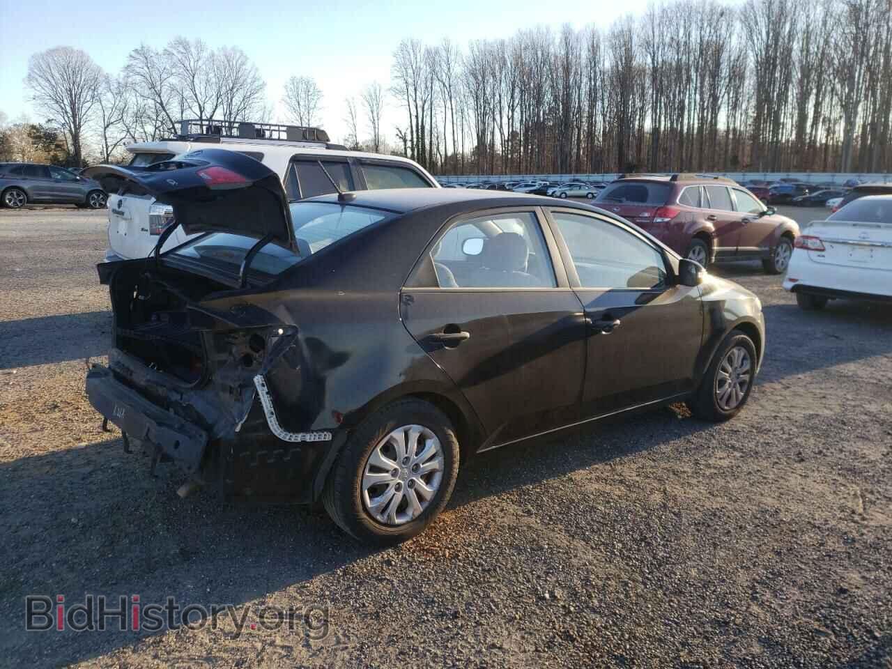 2010 KIA FORTE - VIN: KNAFU4A23A5104215 - Фото 3