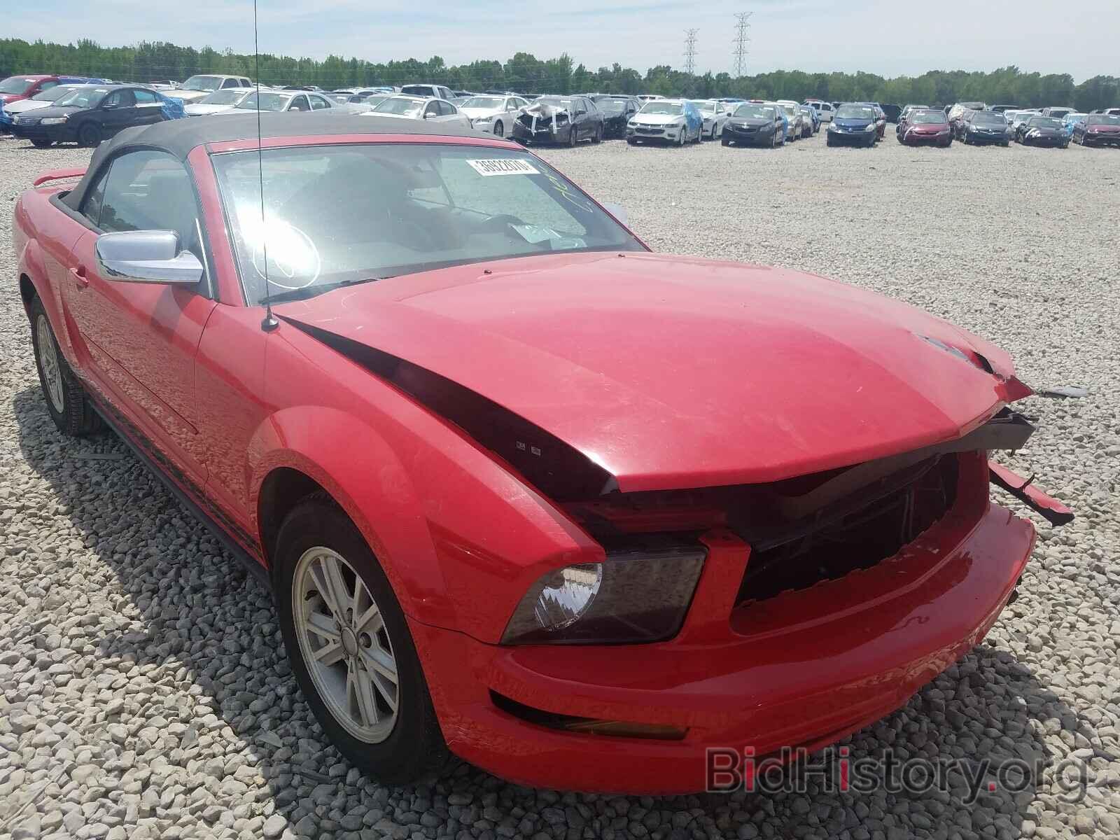 Photo 1ZVFT84NX65104915 - FORD MUSTANG 2006