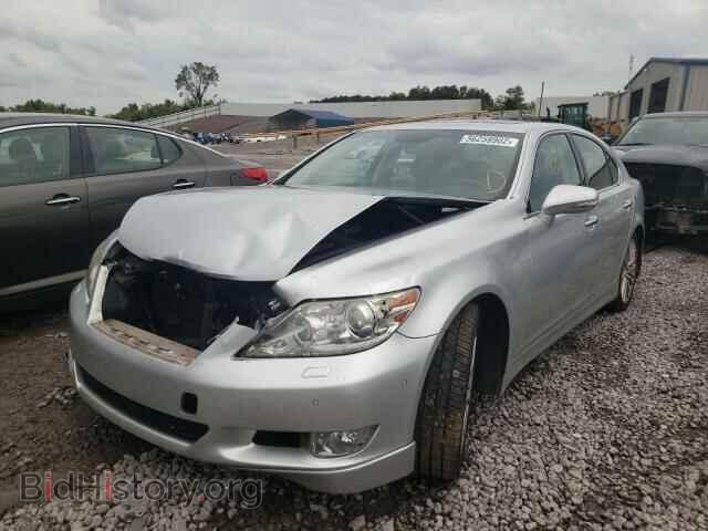 2011 LEXUS LS460 - VIN: JTHBL5EF1B5106925 - Фото 2