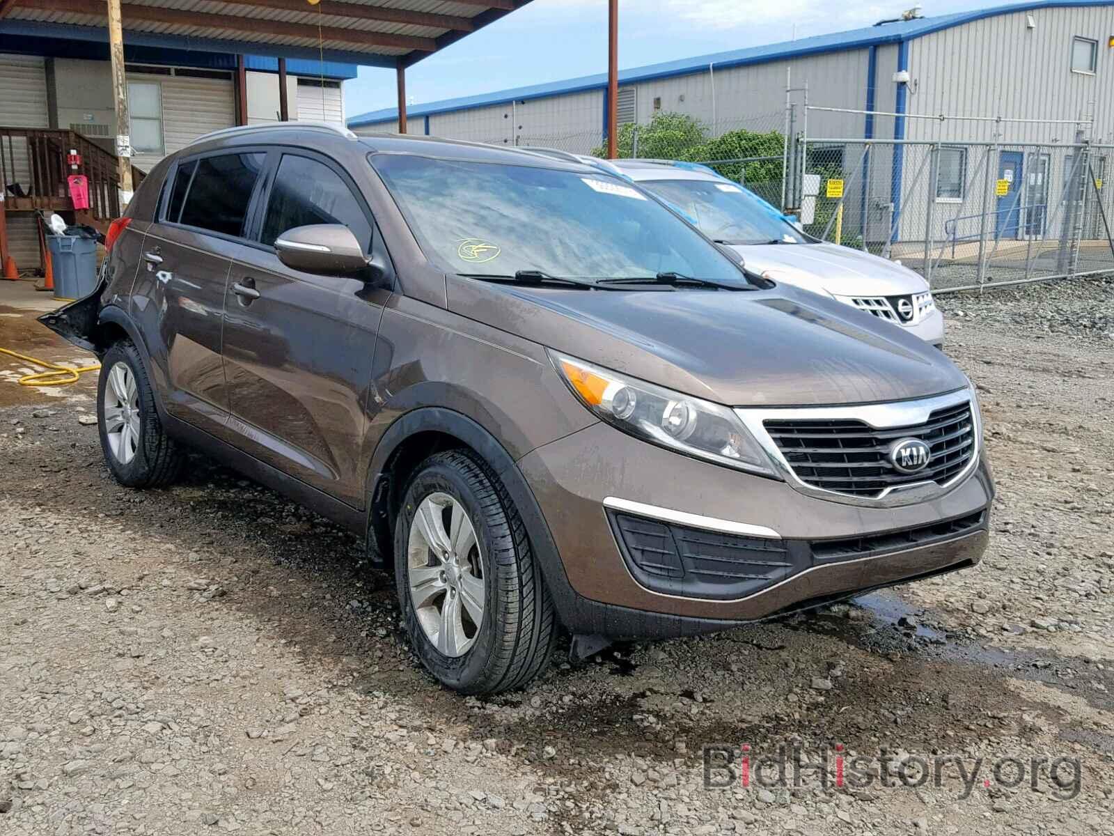 Photo KNDPB3A21D7463708 - KIA SPORTAGE B 2013