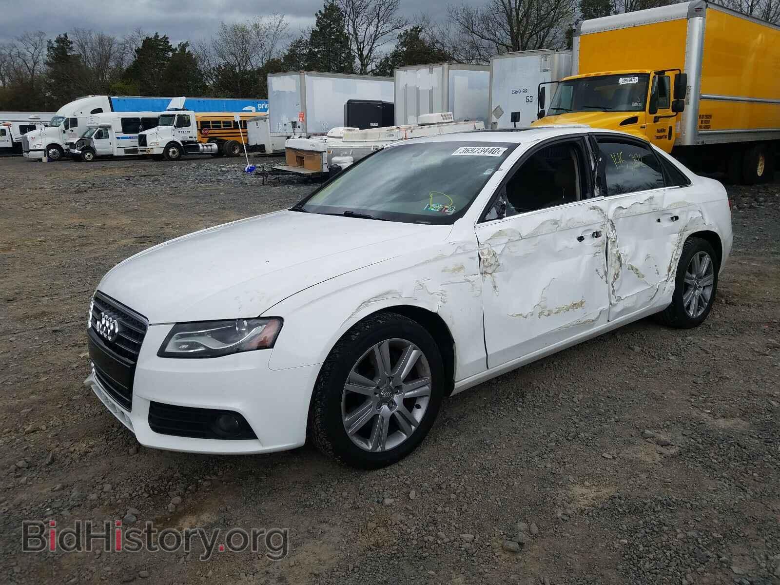 2010 AUDI A4 - VIN: WAUFFAFL1AN058846 - Фото 2