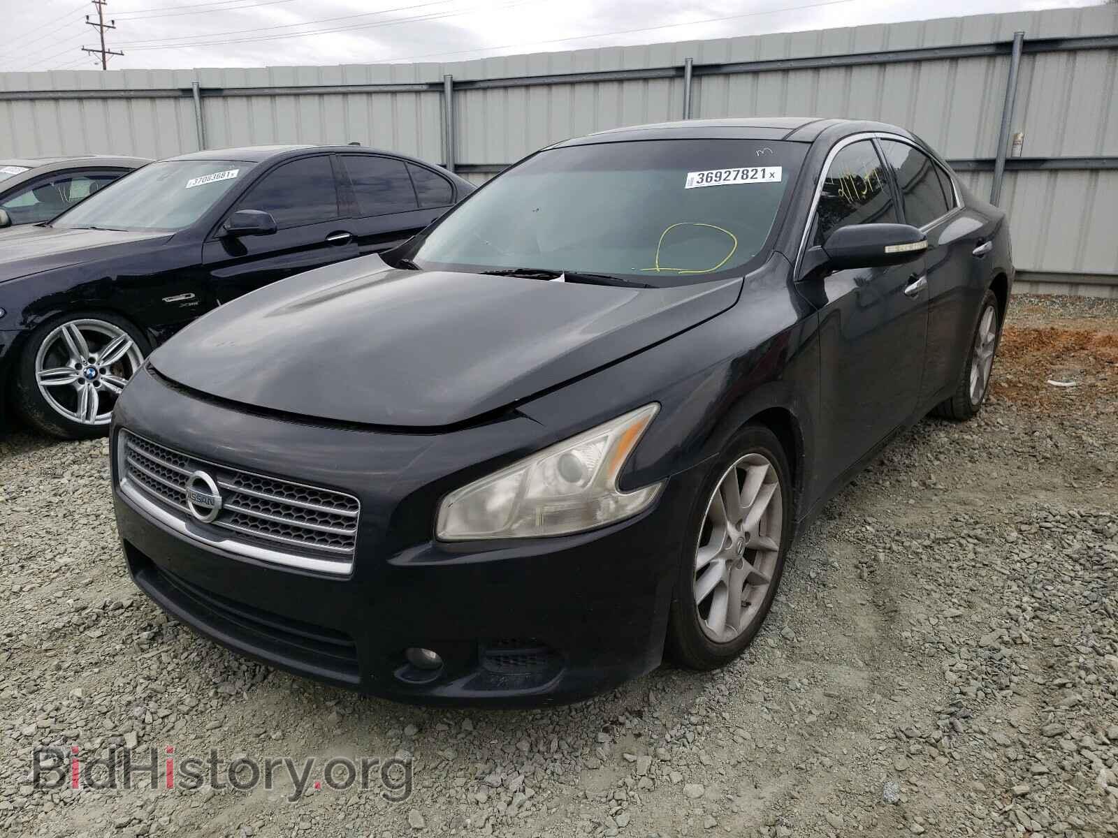 2010 NISSAN MAXIMA - VIN: 1N4AA5AP4AC819075 - Фото 2