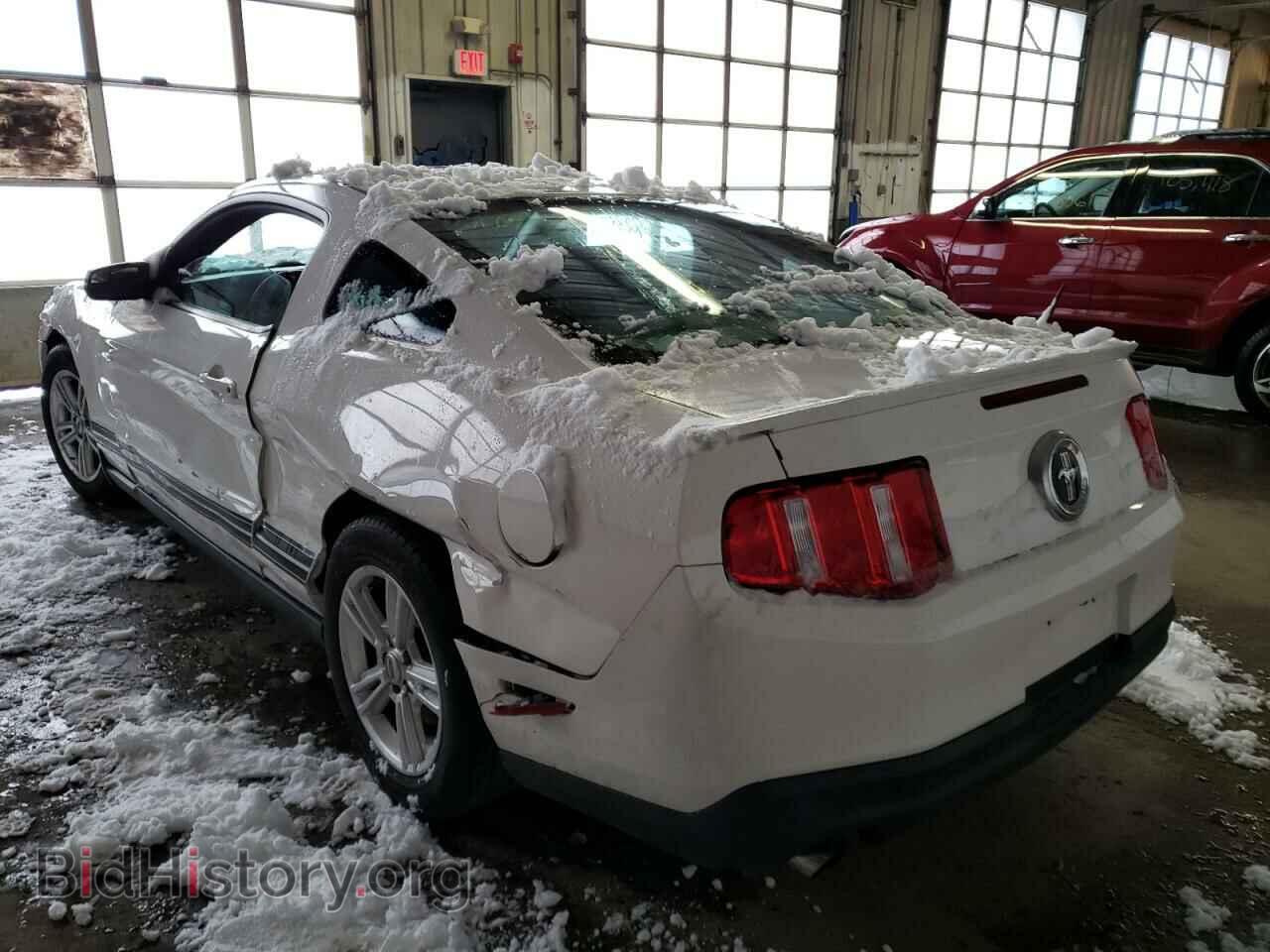2012 FORD MUSTANG - VIN: 1ZVBP8AM1C5287731 - Фото 3