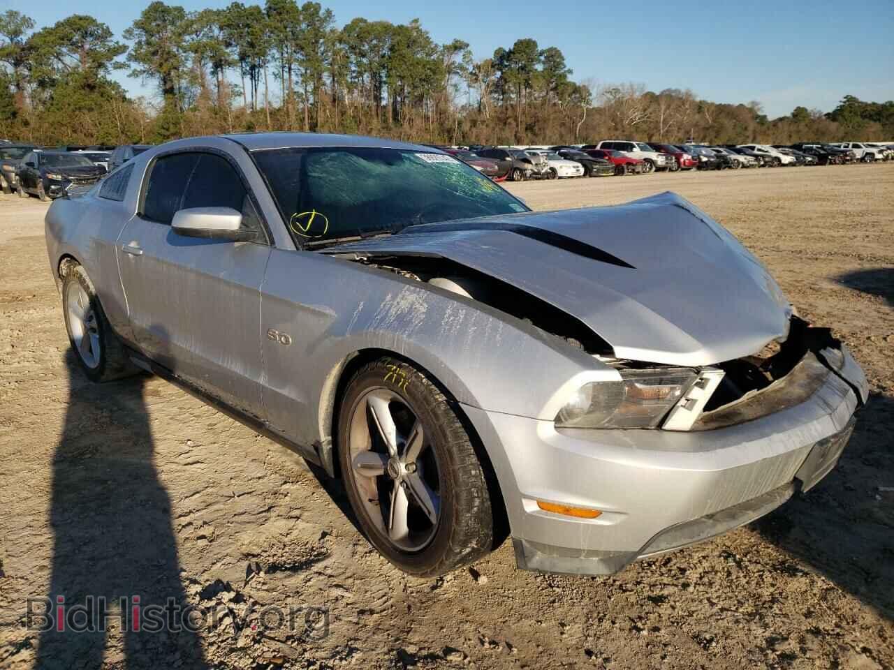 Фотография 1ZVBP8CF4C5238831 - FORD MUSTANG 2012