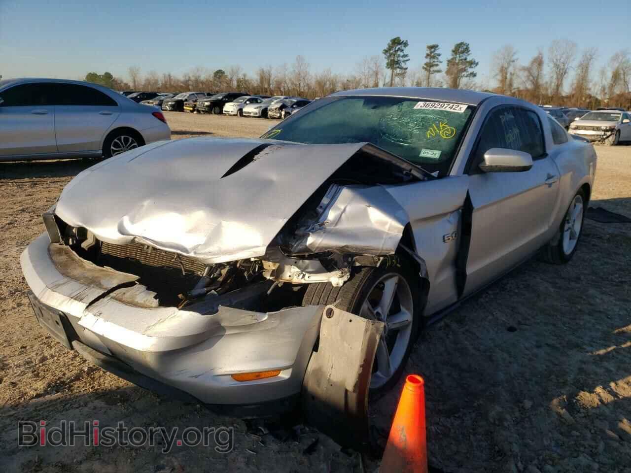 2012 FORD MUSTANG - VIN: 1ZVBP8CF4C5238831 - Фото 2