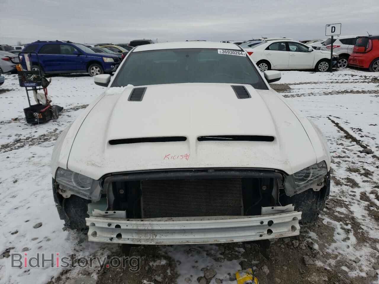 2013 FORD MUSTANG - VIN: 1ZVBP8CF9D5200450 - Фото 5