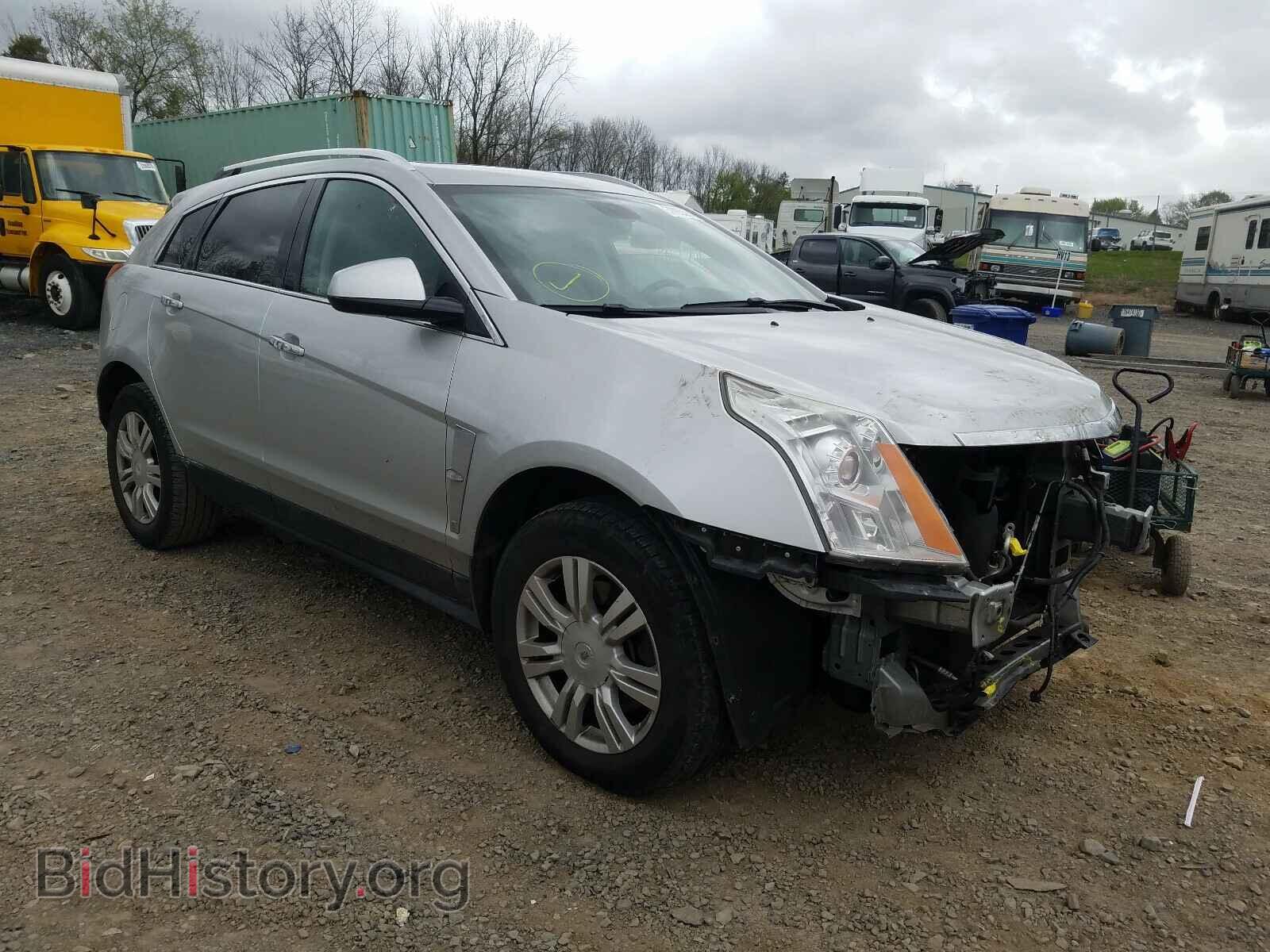 Photo 3GYFNDEY7AS653656 - CADILLAC SRX 2010