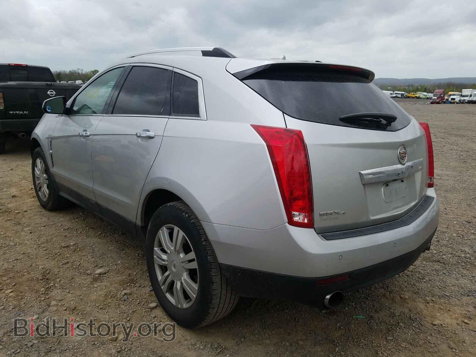 2010 CADILLAC SRX - VIN: 3GYFNDEY7AS653656 - Фото 3