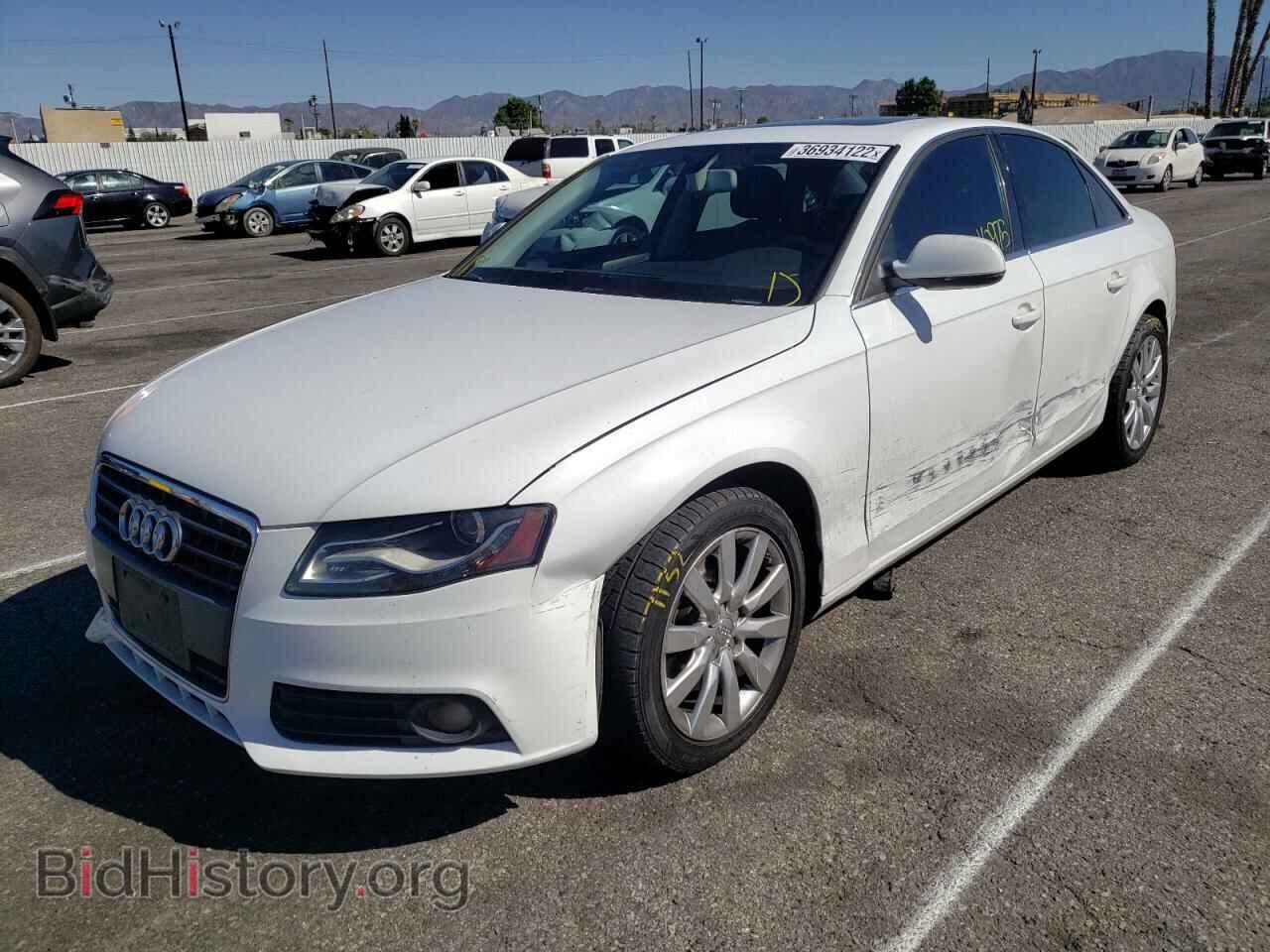 2010 AUDI A4 - VIN: WAUEFAFL3AN022782 - Фото 2