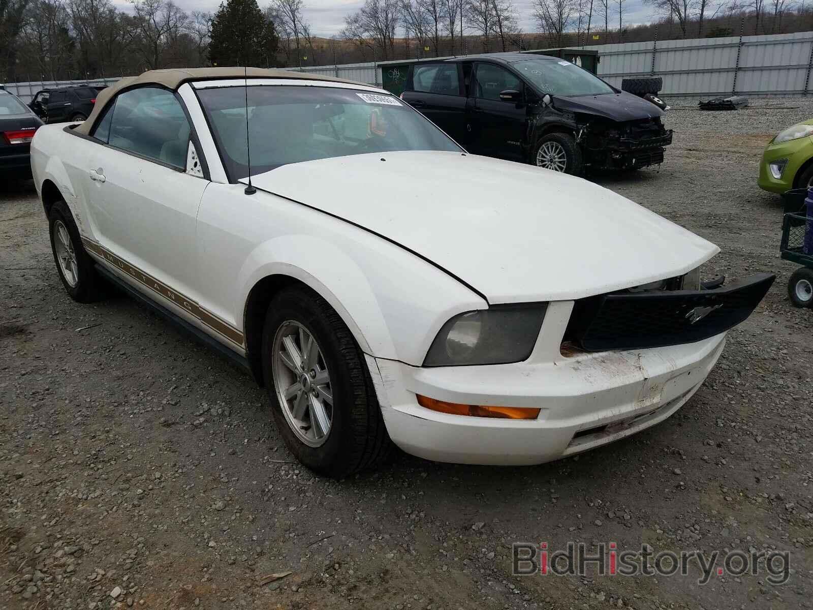 Photo 1ZVFT84N275253482 - FORD MUSTANG 2007