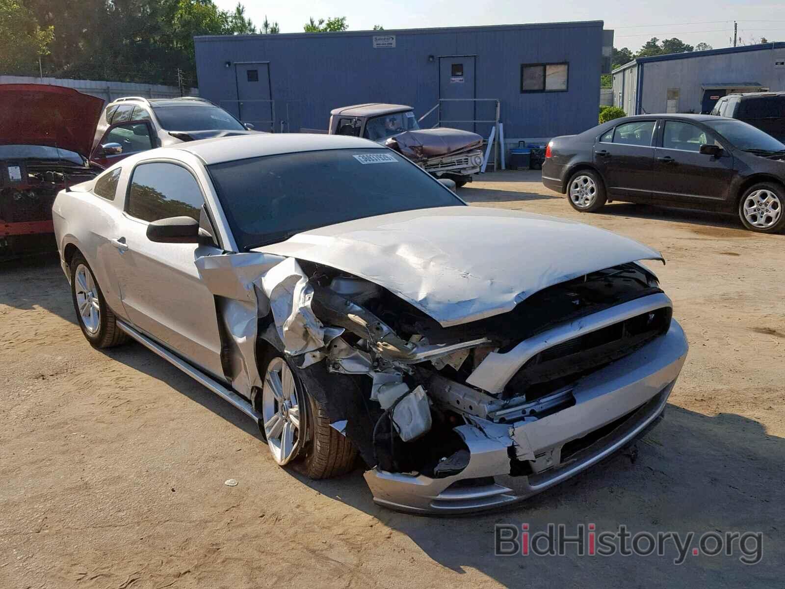 Photo 1ZVBP8AM8E5201740 - FORD MUSTANG 2014