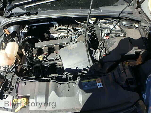2013 FORD FOCUS - VIN: 1FADP3J21DL367787 - Фото 7