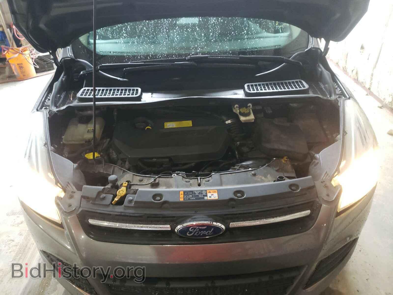 2013 FORD ESCAPE - VIN: 1FMCU0GX7DUC60281 - Photo 7