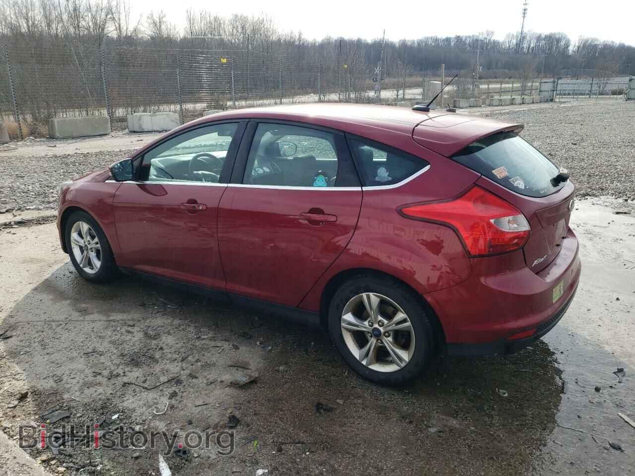 2013 FORD FOCUS - VIN: 1FADP3N24DL361475 - Фото 2