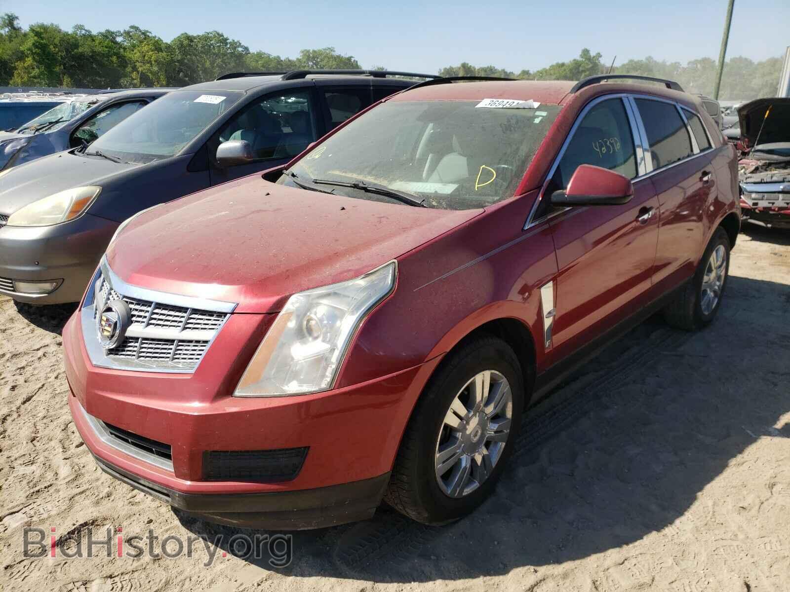 2011 CADILLAC SRX - VIN: 3GYFNGEY9BS571981 - Photo 2