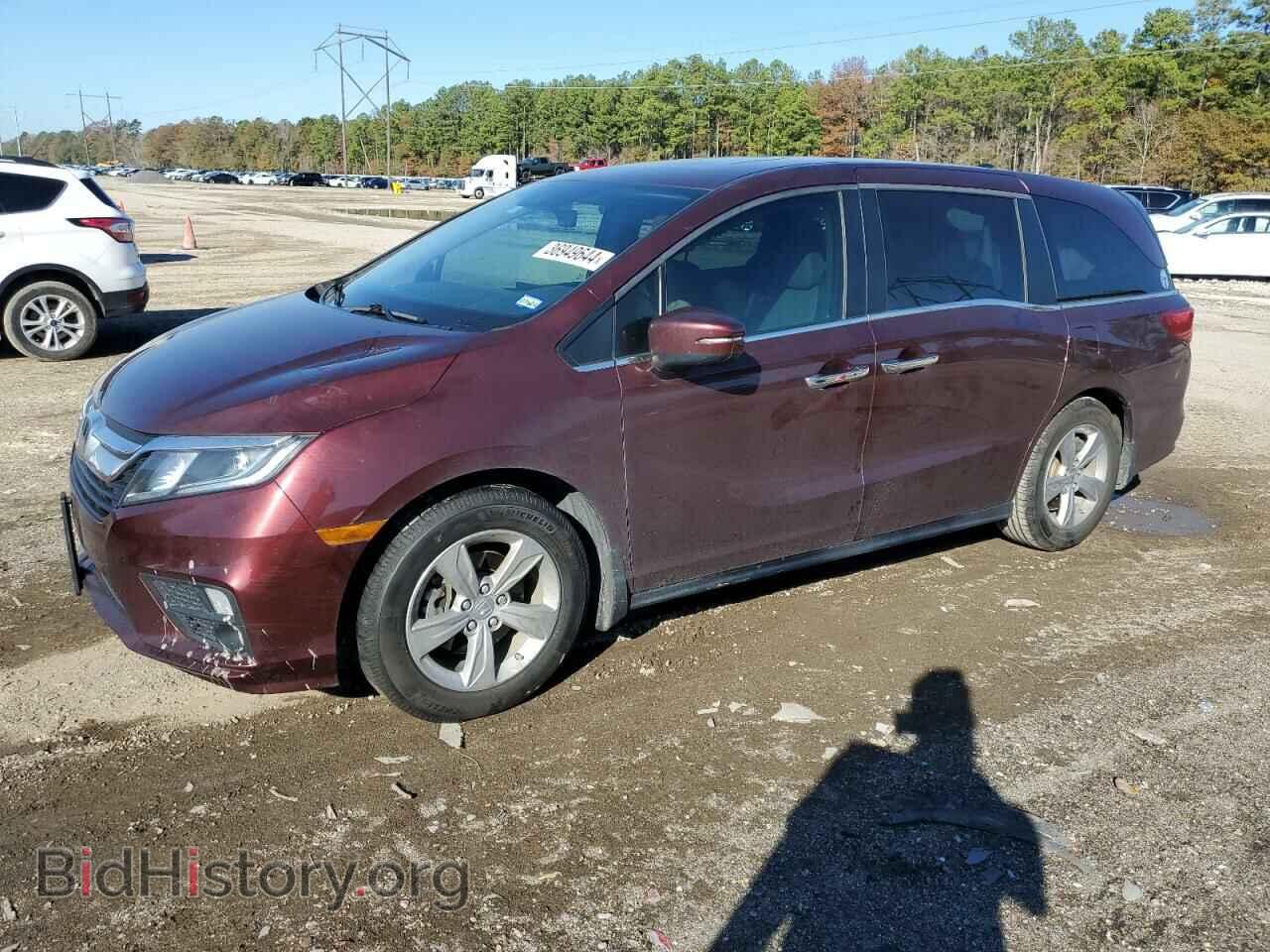 Photo 5FNRL6H75KB086171 - HONDA All Models 2019