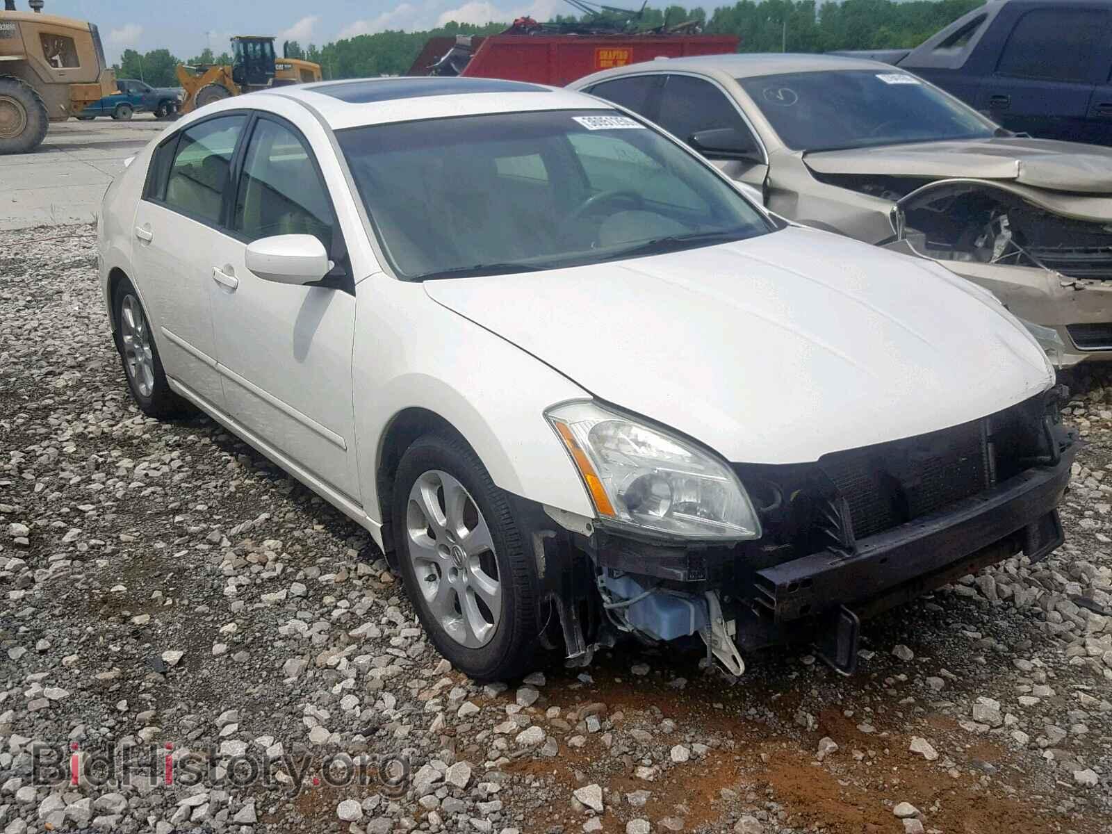 Photo 1N4BA41E98C800304 - NISSAN MAXIMA 2008