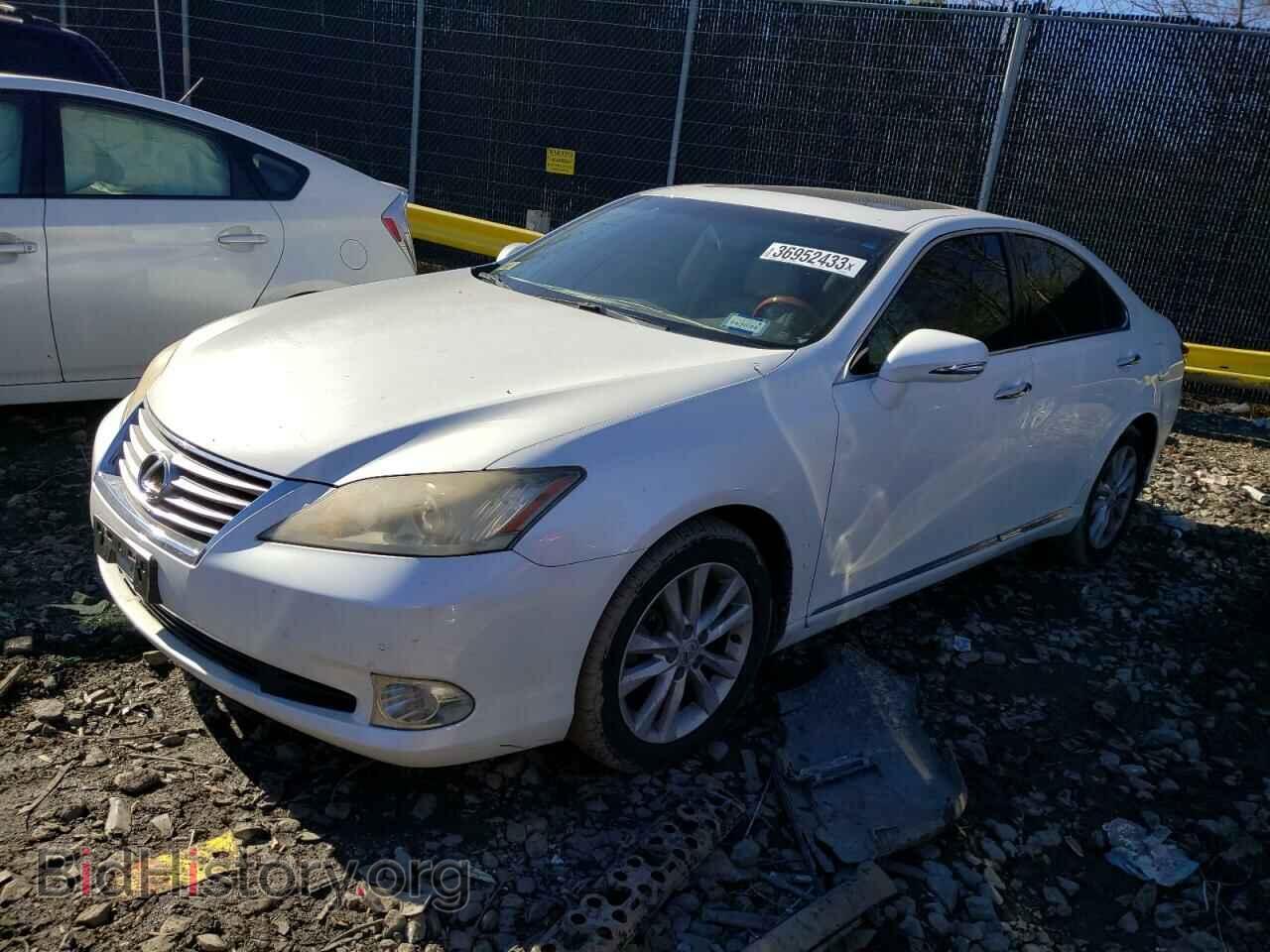 Photo JTHBK1EG2B2433016 - LEXUS ES350 2011
