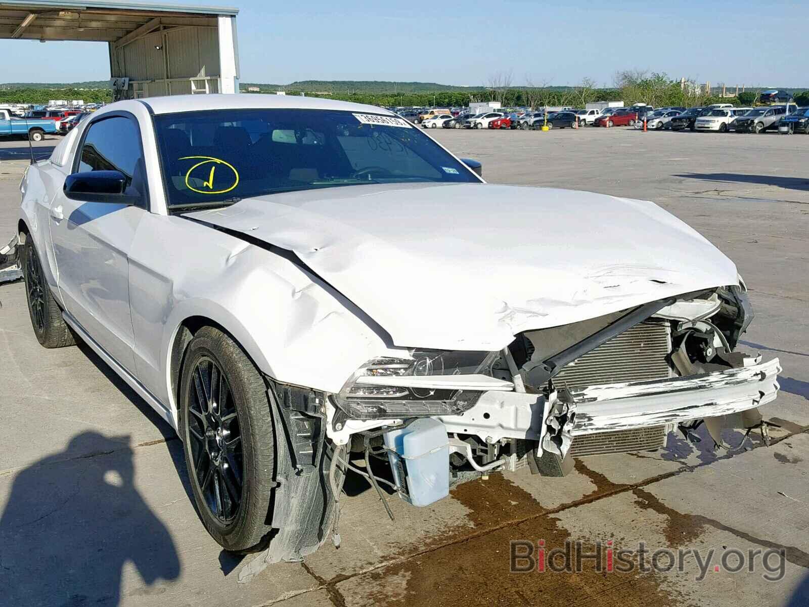 Photo 1ZVBP8AM4E5274345 - FORD MUSTANG 2014
