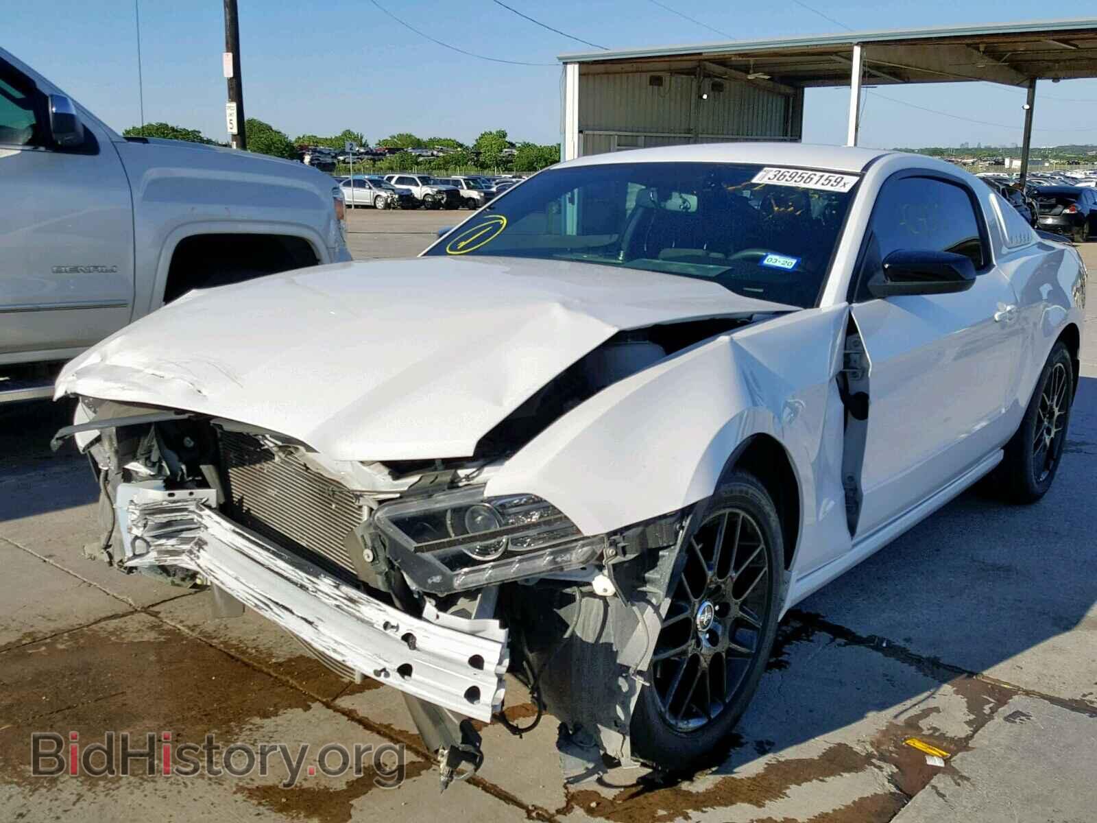 2014 FORD MUSTANG - VIN: 1ZVBP8AM4E5274345 - Фото 2