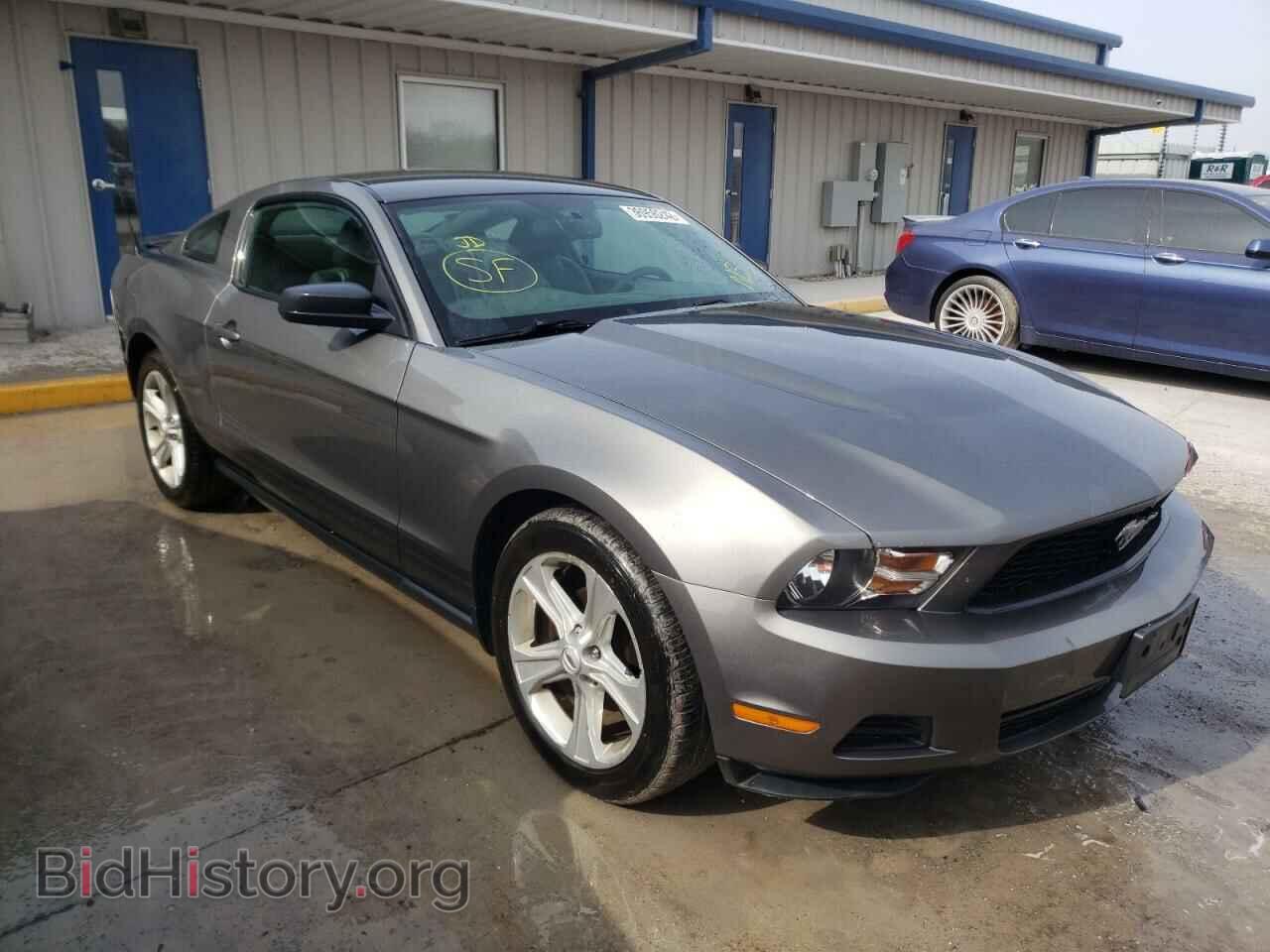 Photo 1ZVBP8AN5A5181112 - FORD MUSTANG 2010
